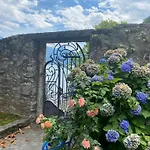 The Rose - Front *